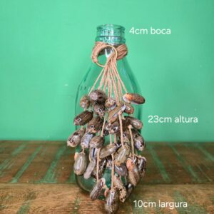 Garrafinha em Vidro com Colar de Conchas - Imagem 3