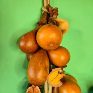 Colar Cabaça - Imagem 4