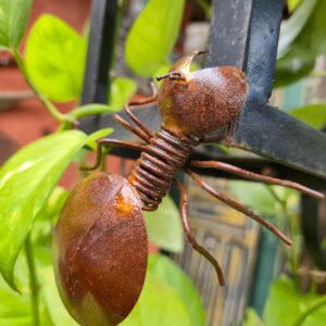 Formiga em Ferro - PP - Imagem 4