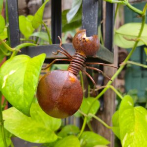 Formiga em Ferro - PP - Imagem 5