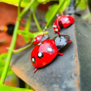 Joaninha em Ferro com imã - P - Imagem 3