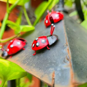 Joaninha em Ferro com imã - PP - Imagem 4