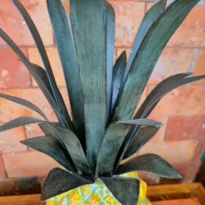 Abacaxi com Coroa de Ferro - Imagem 4