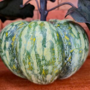 Abóbora Verde com Folha em Ferro - G - Imagem 3