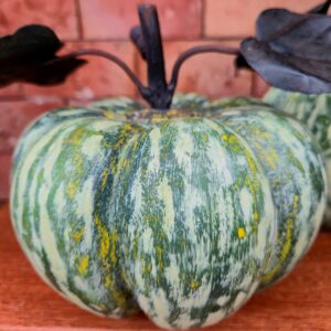 Abóbora Verde com Folha em Ferro - M - Imagem 4