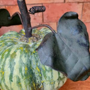 Abóbora Verde com Folha em Ferro - G - Imagem 4
