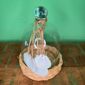 Cúpula em Vidro com Colar de Conchas - M - Imagem 6