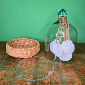 Cúpula em Vidro com Colar de Conchas - M - Imagem 3