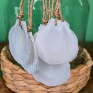 Cúpula em Vidro com Colar de Conchas - M - Imagem 5