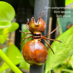 Filhote Formiga em Ferro com Imã - P - Imagem 3
