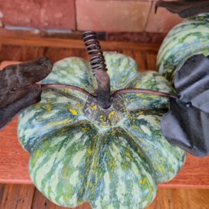 Abóbora Verde com Folha em Ferro - M - Imagem 3