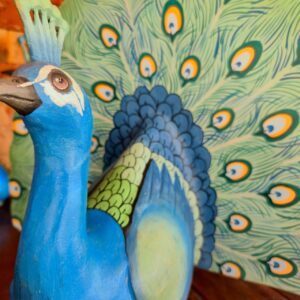 Pavão com Rabo Aberto - Imagem 3