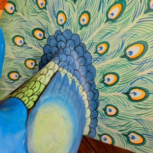 Pavão com Rabo Aberto - Imagem 5