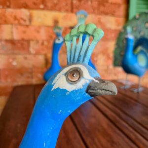 Pavão com Rabo Fechado - P - Imagem 6