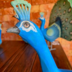 Pavão Rabo Fechado - M - Imagem 3