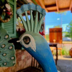 Pavão com Rabo Fechado - G - Imagem 3