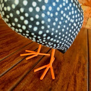 Galinha da Angola - G - Imagem 5