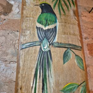 Quadro 2 Pássaros Coloridos - Imagem 3