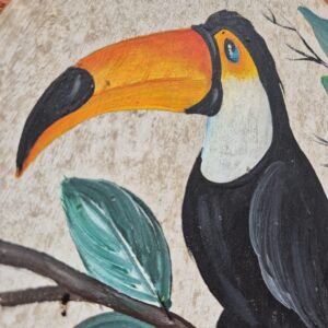 Quadro Redondo Tucano com Folhagem - Imagem 4