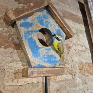 Quadro Casa de Pássaro com Gancheira -  Bem-te-vi - Imagem 3