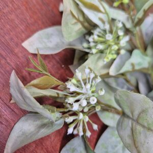 Buquezinho Folhagem com Brotinho de Flor - Imagem 3