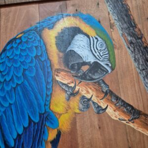 Quadro Arara Canindé Azul - Imagem 3