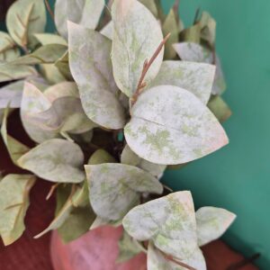 Ramo de Folhagens - Verde Claro - Imagem 3