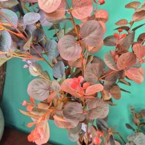 Ramo Eucalipto Outonado - Imagem 3