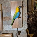 Quadro Pássaro Colorido com Gancho