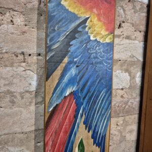 Quadro Arara Asa aberta - Imagem 3