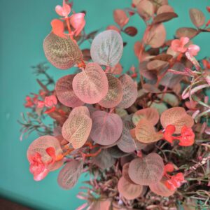 Composição Vaso com Arranjo de Flores - Eucalipto Outonado - Imagem 6