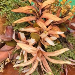 Composição Vaso rústico com Arranjo - Mini Lírios - Imagem 5