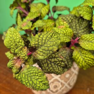 Composição Vaso Arabesco Flor com Arranjo - Hortelã Escuro - Imagem 5