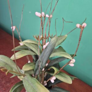 Composição Mini Pote com Tag e Arranjo Sementinha - Imagem 3