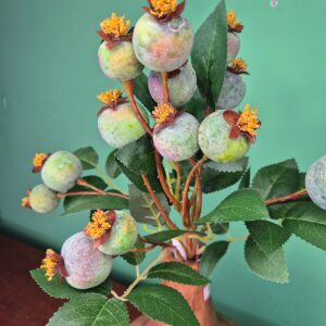 Composição Vaso Moringa com Arranjo Araçá Verde - Imagem 5