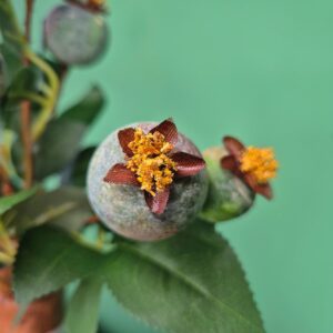 Composição Vaso Moringa com Arranjo Araçá Verde - Imagem 4