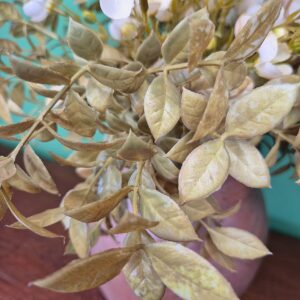 Vaso com Arranjo de Flores Macieira Branca - Imagem 6