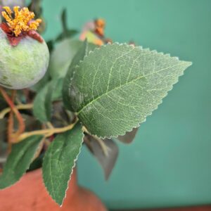 Vaso com Arranjo de Araçá Verde - Imagem 4