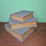 Livro Organizador - P