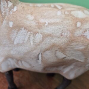 Carneiro em Pé - Imagem 5