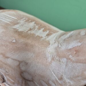 Ovelha Sentada - Imagem 3